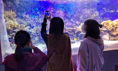 04鳥羽水族館.jpg