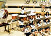 20021010_007.jpg (292724 $B%P%$%H(B)
