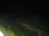 P1010061.jpg (53110 oCg)