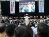 P1010589.jpg (87093 oCg)